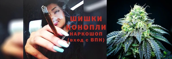 амф Богородск