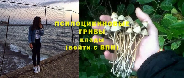 метамфетамин Богданович