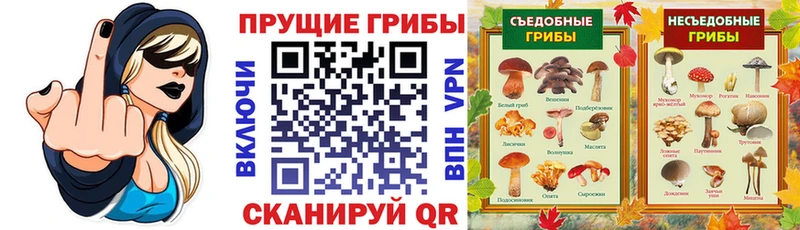 hydra онион  хочу наркоту  Красный Кут  Галлюциногенные грибы мухоморы 
